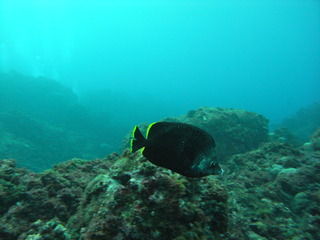 M1052732
