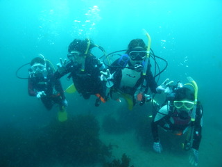 M0017397