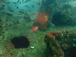 P3050109