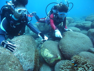 M0023210