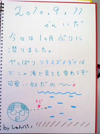 11日感想2