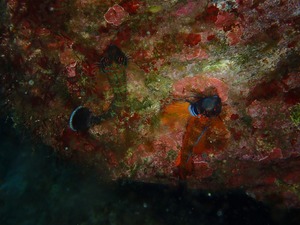 P3040089