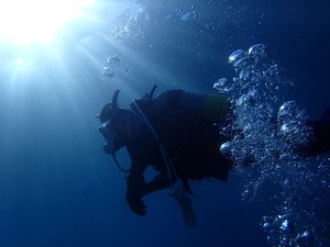 P1150181 (1)