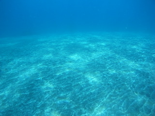 M0019520