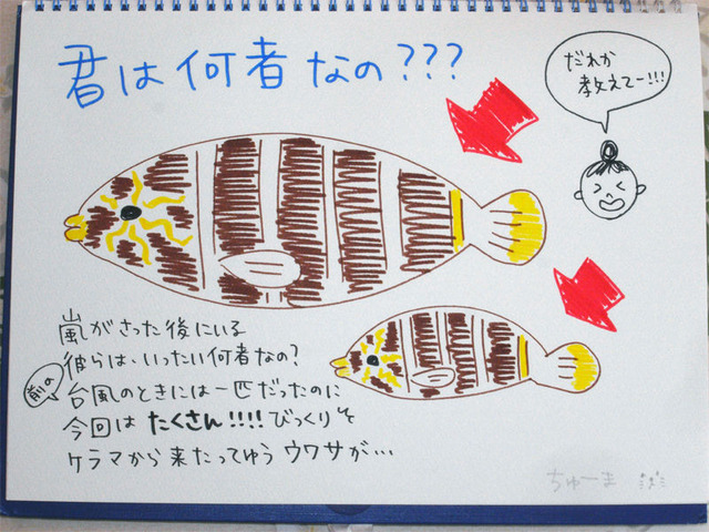 3感想