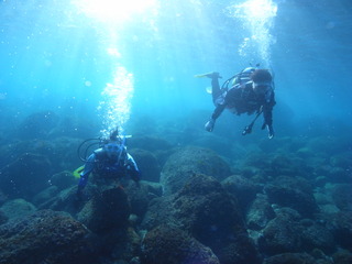 M0020919