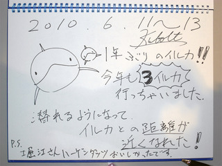 11感想