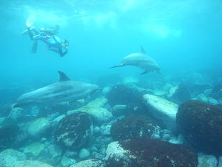 M0012675