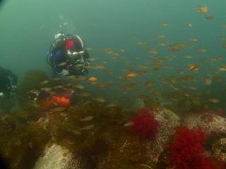 P5020039