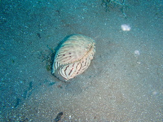 P6280176