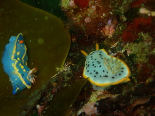 P5270035