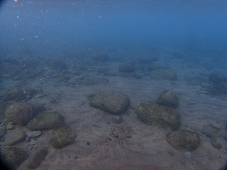 D4773D34-617D-4BC5-B055-629669752F02