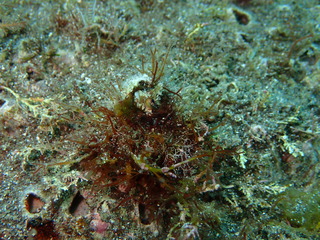 P6280241