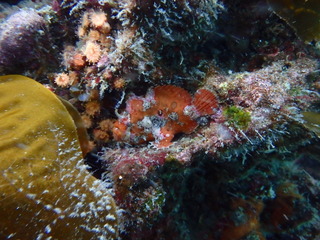 P3280293
