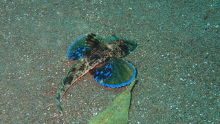 P3060072