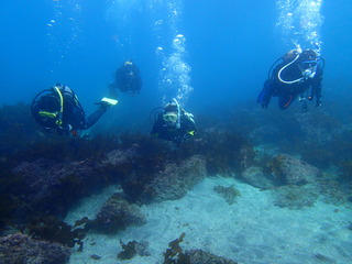 P1170039