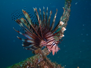 P6250111