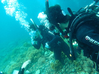 P7050802