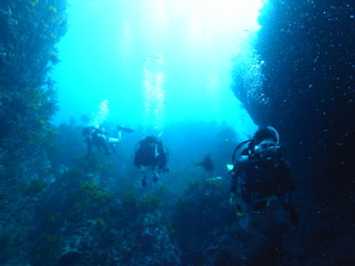 M0020704