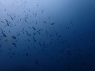 P4140103