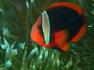 P6060789