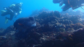 P4290896