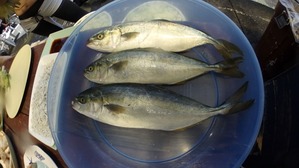 P7100132