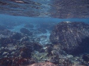 P4020060