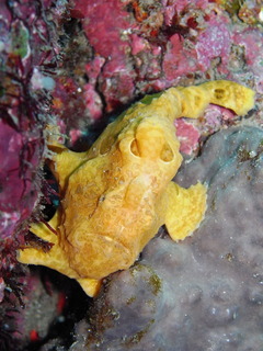 M0016118