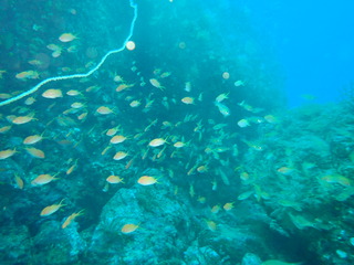 P7020146