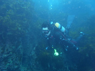 M0016265