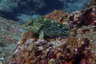 P1130040