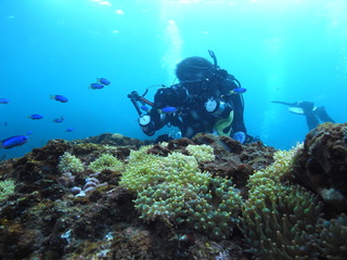M0014806