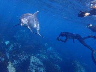 P6200606