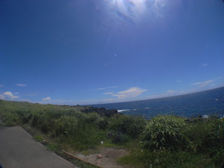 M0016845