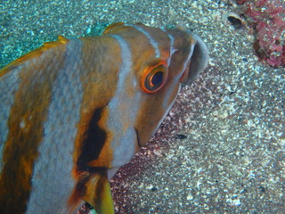 PB040192
