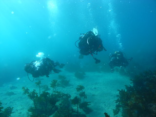 M1055008