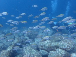P8210125