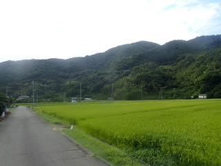 P7300525