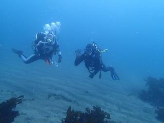 P3130054