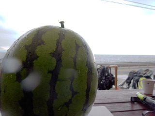 M0018526