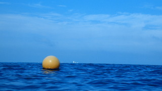 P8050332