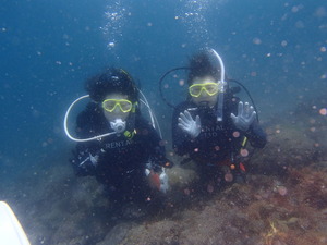 P42900272