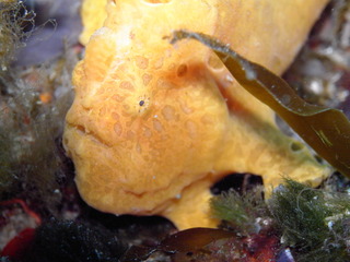 M0015646