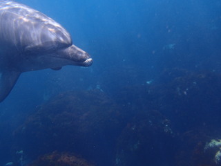 P6200488