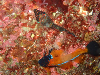 P2200027