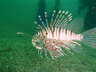 P6220377