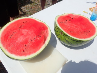 P7300679
