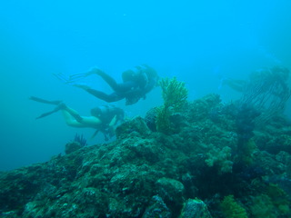 P7020186