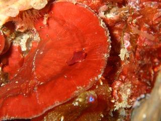 P3050046